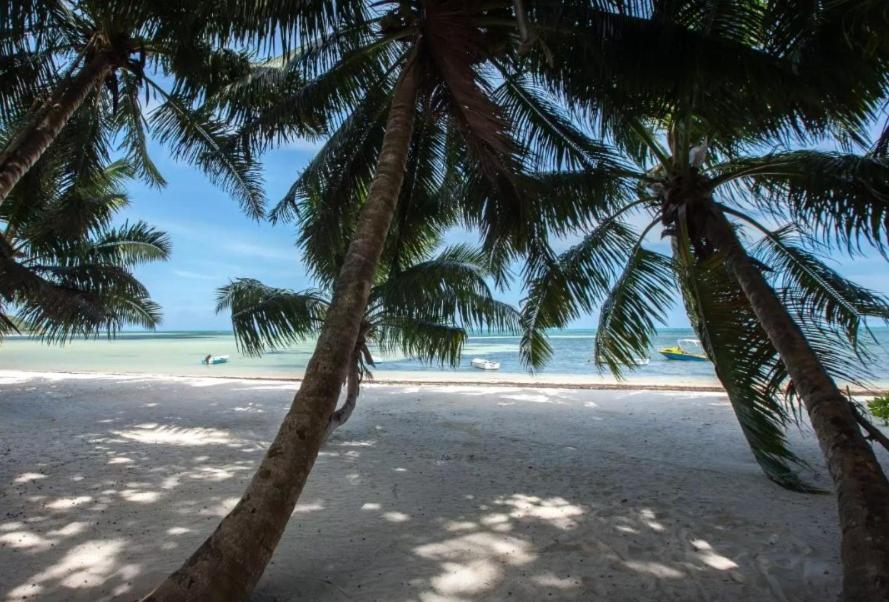 Happy Stay Villa Grand Anse  Esterno foto